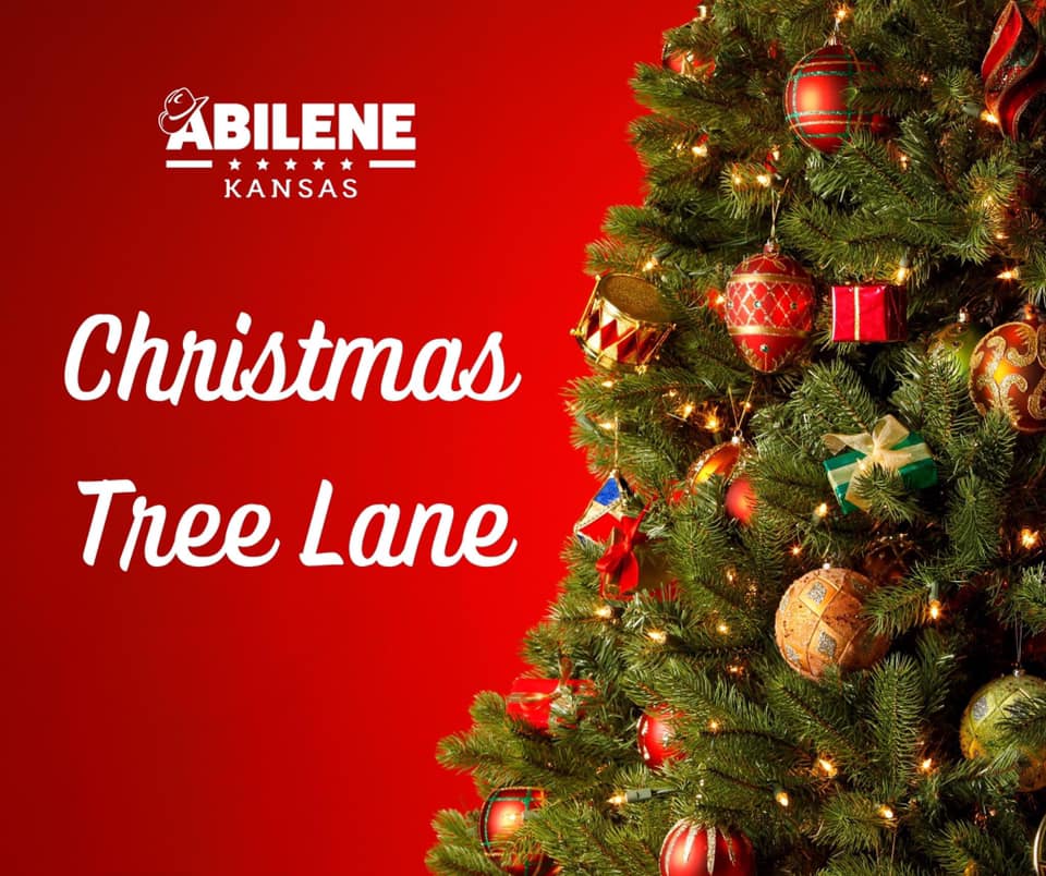 Christmas Tree Lane