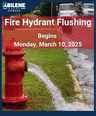 Website Newsflash (Cover Image) (65)