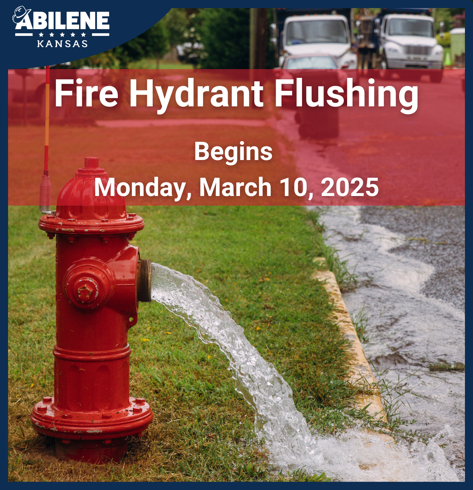 Website Newsflash (Cover Image) (1525 x 1580 px) Whitney