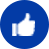 Thumbs Up Icon